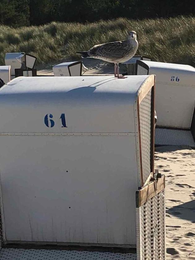 Koserow Am Strande Εξωτερικό φωτογραφία